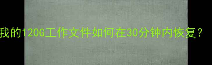 图片 💻电脑被勒索病毒攻击后，我的120G工作文件如何在30分钟内恢复？｜勒索病毒数据恢复全攻略1