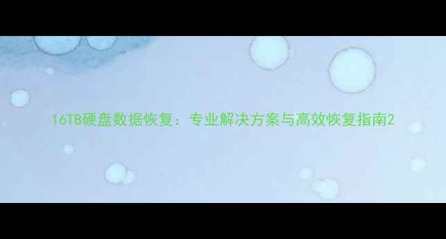 图片 16TB硬盘数据恢复：专业解决方案与高效恢复指南2