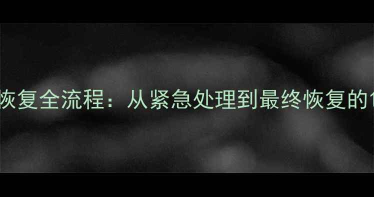 图片 1TB硬盘数据恢复全流程：从紧急处理到最终恢复的12小时时间表