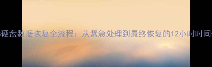 1TB硬盘数据恢复全流程从紧急处理到最终恢复的12小时时间表