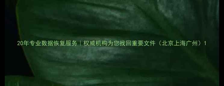 20年专业数据恢复服务权威机构为您找回重要文件北京上海广州