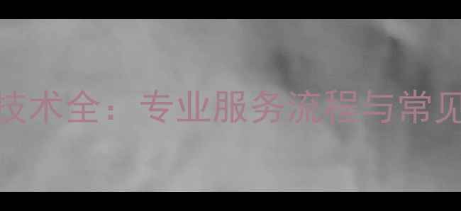 2258H数据恢复技术全专业服务流程与常见问题解决方案