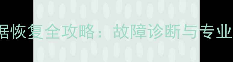 2263xt数据恢复全攻略故障诊断与专业修复步骤