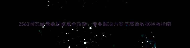 256G固态硬盘数据恢复全攻略专业解决方案与高效数据拯救指南
