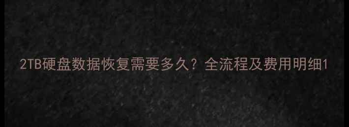 图片 2TB硬盘数据恢复需要多久？全流程及费用明细1
