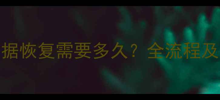 图片 2TB硬盘数据恢复需要多久？全流程及费用明细2