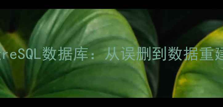 3步恢复PostgreSQL数据库从误删到数据重建的完整指南