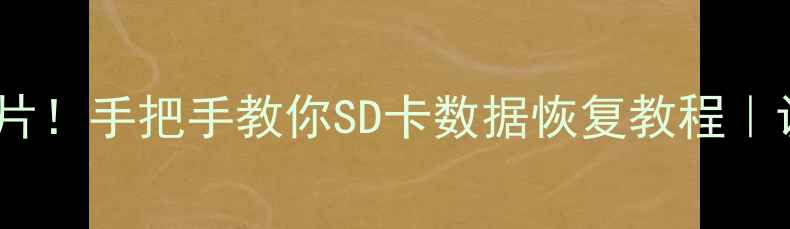 图片 3步恢复误删照片！手把手教你SD卡数据恢复教程｜认证数据恢复师