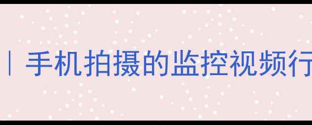 图片 5步实操摄像机数据恢复全攻略｜手机拍摄的监控视频行车记录仪无人机素材都能救！1