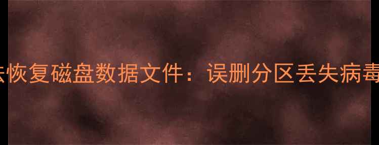 图片 5种有效方法恢复磁盘数据文件：误删分区丢失病毒攻击全攻略