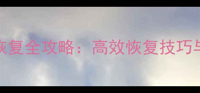 图片 9号平衡车数据恢复全攻略：高效恢复技巧与专业技术方案1