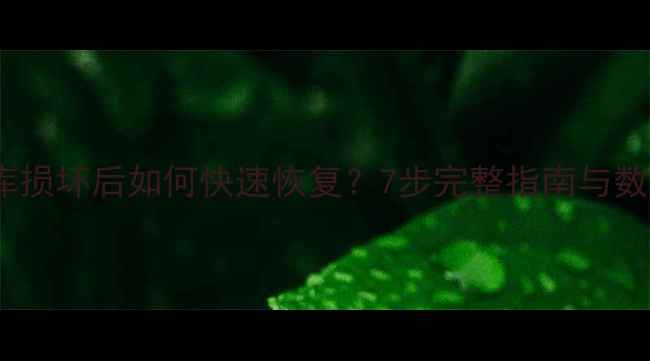 Access数据库损坏后如何快速恢复7步完整指南与数据保护技巧