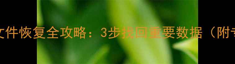 图片 Box云存储误删文件恢复全攻略：3步找回重要数据（附专业工具推荐）2