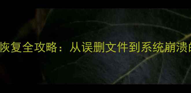 BuffaloNAS数据恢复全攻略从误删文件到系统崩溃的完整解决方案