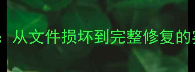 图片 C++数据恢复全攻略：从文件损坏到完整修复的实用指南与工具推荐