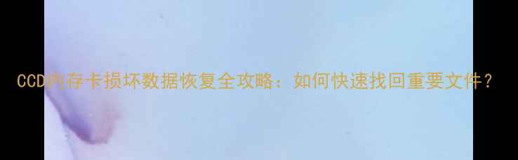 CCD内存卡损坏数据恢复全攻略如何快速找回重要文件