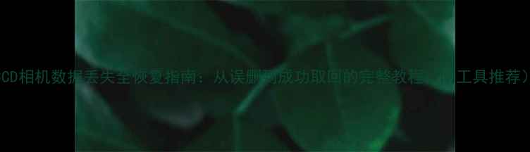 CCD相机数据丢失全恢复指南从误删到成功取回的完整教程附工具推荐