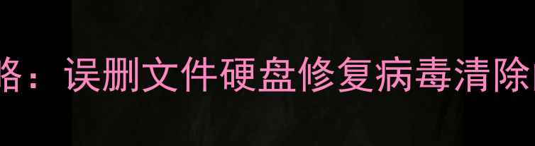DK恢复数据全攻略误删文件硬盘修复病毒清除的完整解决方案
