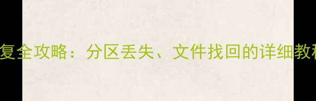 图片 DiskGenius数据恢复全攻略：分区丢失、文件找回的详细教程（附实战步骤）1