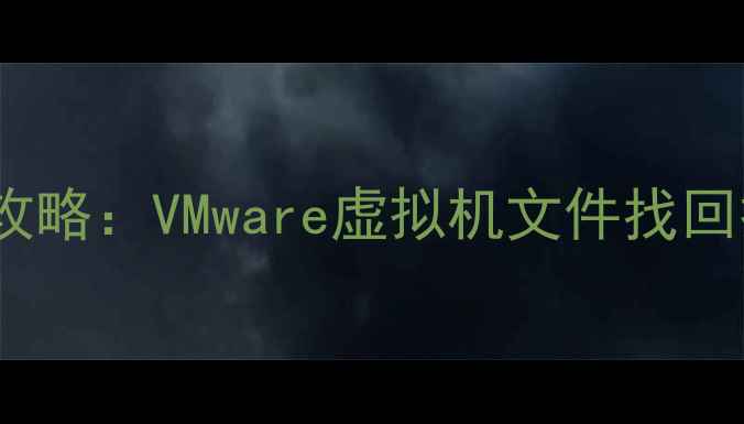 图片 ESXi数据恢复全攻略：VMware虚拟机文件找回技巧与应急方案1