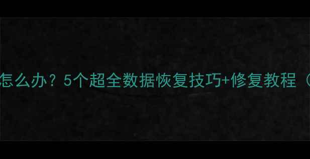 图片 Excel文件丢失怎么办？5个超全数据恢复技巧+修复教程（附免费工具）1