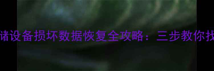 图片 Excel文件存储设备损坏数据恢复全攻略：三步教你找回重要文档1