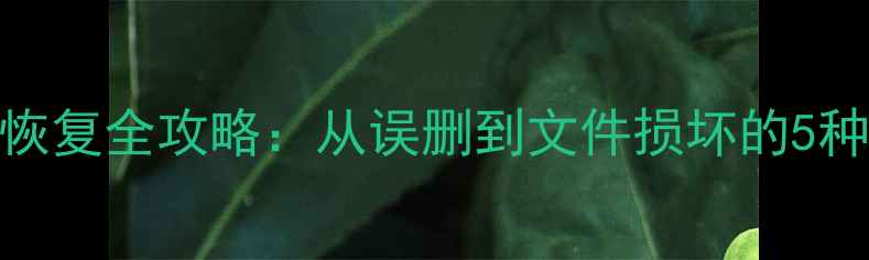图片 Excel表格数据恢复全攻略：从误删到文件损坏的5种专业修复方法2