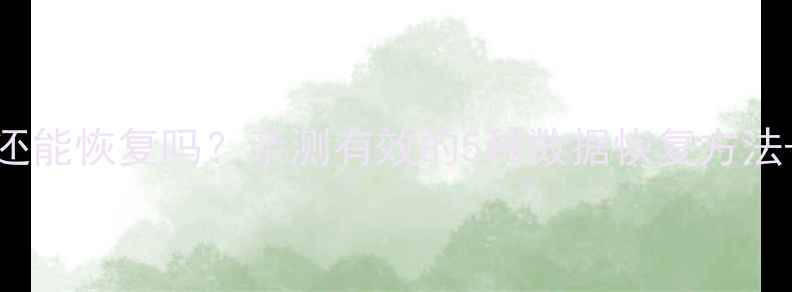 图片 Excel表格被覆盖还能恢复吗？亲测有效的5种数据恢复方法+误删必看攻略📝2