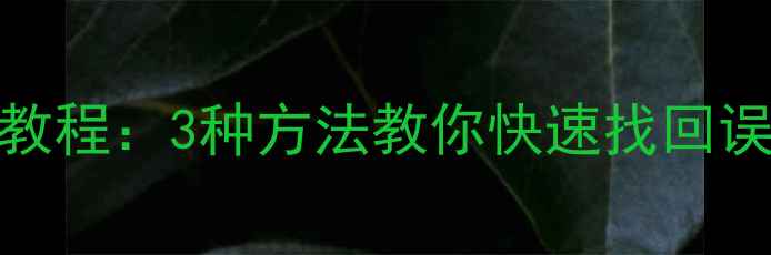 图片 Excel预算表数据恢复教程：3种方法教你快速找回误删或损坏的表格数据2