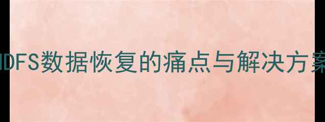 图片 HDFS数据恢复的痛点与解决方案