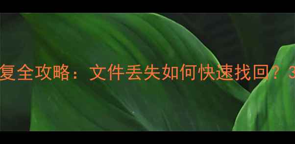 图片 HTC涂鸦板数据恢复全攻略：文件丢失如何快速找回？3种方法实测有效1