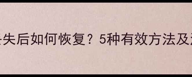 图片 ID数据丢失后如何恢复？5种有效方法及注意事项
