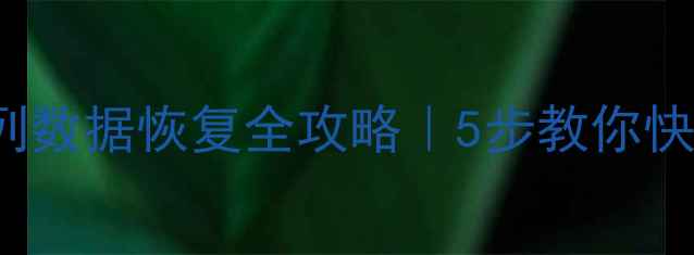 LSIMegaraid阵列数据恢复全攻略5步教你快速找回重要文件