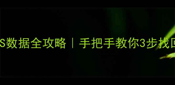 图片 Linux恢复NTFS数据全攻略｜手把手教你3步找回丢失的文件1