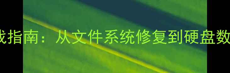 图片 Linux数据恢复编程实战指南：从文件系统修复到硬盘数据恢复的完整解决方案