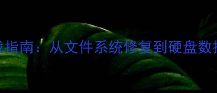 Linux数据恢复编程实战指南从文件系统修复到硬盘数据恢复的完整解决方案