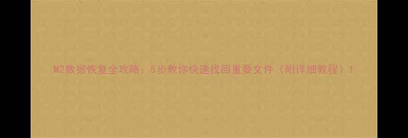 M2数据恢复全攻略5步教你快速找回重要文件附详细教程