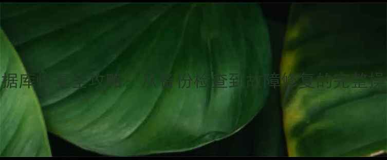 图片 MySQL数据库恢复全攻略：从备份检查到故障修复的完整操作指南1