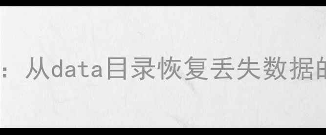 MySQL数据恢复全攻略从data目录恢复丢失数据的高效方法与详细教程