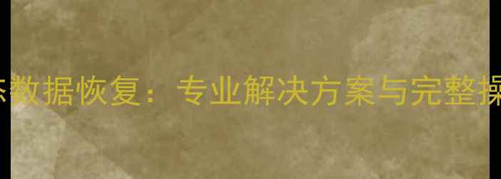 图片 NV2固态数据恢复：专业解决方案与完整操作指南