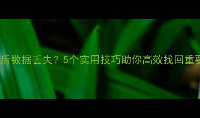 图片 OPPO强制恢复出厂设置后数据丢失？5个实用技巧助你高效找回重要文件（附详细教程）1