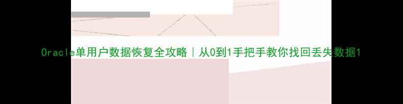 图片 Oracle单用户数据恢复全攻略｜从0到1手把手教你找回丢失数据1