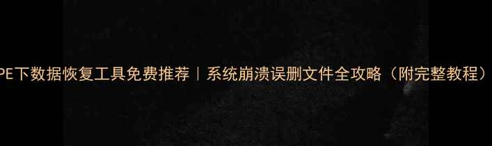 PE下数据恢复工具免费推荐系统崩溃误删文件全攻略附完整教程