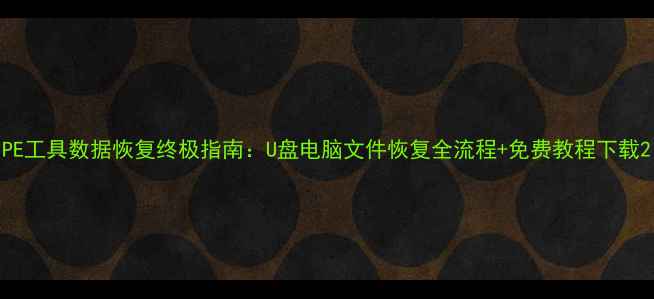 图片 PE工具数据恢复终极指南：U盘电脑文件恢复全流程+免费教程下载2