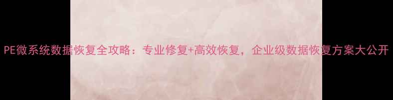 图片 PE微系统数据恢复全攻略：专业修复+高效恢复，企业级数据恢复方案大公开