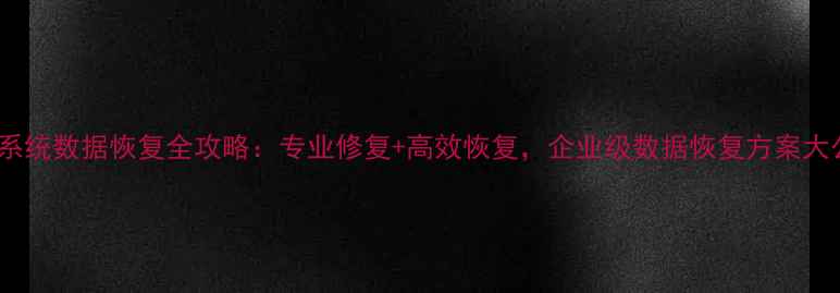PE微系统数据恢复全攻略专业修复高效恢复企业级数据恢复方案大公开
