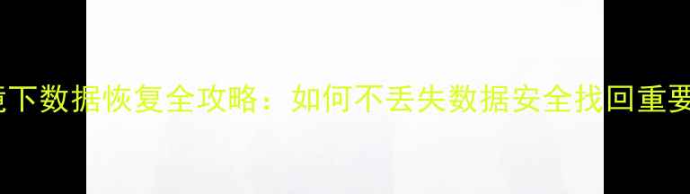 图片 PE环境下数据恢复全攻略：如何不丢失数据安全找回重要文件1