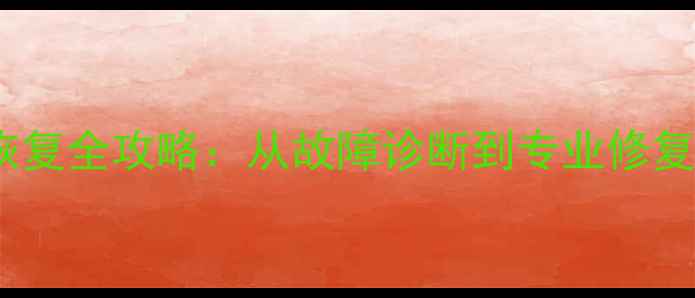 PE系统硬盘数据恢复全攻略从故障诊断到专业修复的完整解决方案