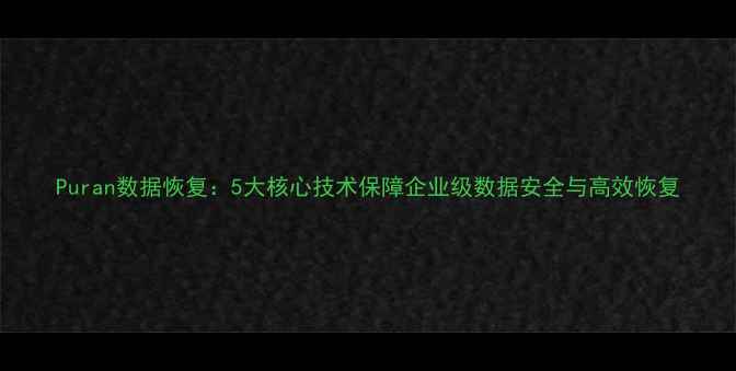 图片 Puran数据恢复：5大核心技术保障企业级数据安全与高效恢复