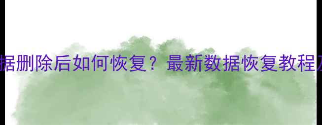 QQ浏览器数据删除后如何恢复最新数据恢复教程及预防指南